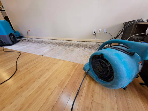 Professional Emergency Water Damage technician working in Dodge Center, MN